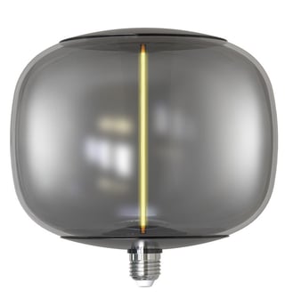 Ampoule LED filament BIG Verre Fumé 4W E27 T220