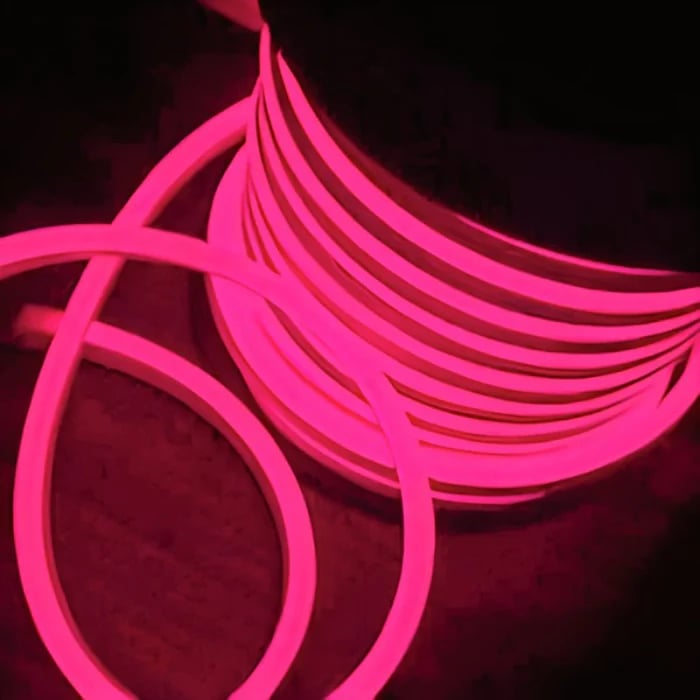 Néon LED Flexible  220V