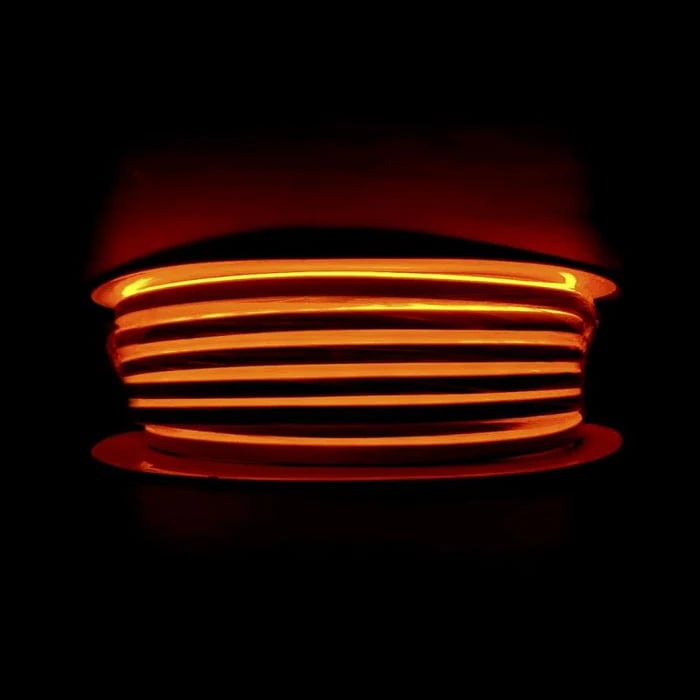 Néon LED Flexible 12V