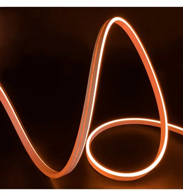 Néons LED Flexibles 24V