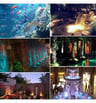 Projecteur LED Piscine RGB 6W IP68 DC12V INOX 316 - Image 16