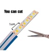Néon LED 24V 13W/m 50m Bleu découpe 1cm - Image 5