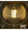 Ampoule LED à Filament Décorative 7W E27 / Ambre - Image 3