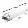Tube LED T8 24W 150cm verre GXtronic 300° starter - Image 4