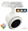 Spot LED Triphasé - 40W-30W - ROME Blanc  - Driver GxTronic / Optique réglable 24º-60º - UGR13 - CCT - Image 1