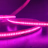 Ruban LED COB 24V 480LED/m 5m CRI92 IP20 - Image 4