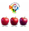 220V câble redr. 800lm 8W/m CRI90 IP65 - Image 13
