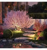 Piquet Lumineux LED de Jardin 5W IP65 pour Extérieur – Angle 38° – Blanc Chaud 2700K - Image 6