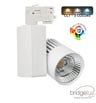 Projecteur LED 40W GRAZ Blanc Chip Bridgelux 3CCT / Rail Triphasé - 4400Lm - CRI +98 - Image 1