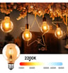 Ampoule LED Filament Vintage 8W E27 G125 Dimmable - Image 6