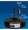 Convertisseur 1-10V vers DALI éclairage LED - Image 12