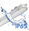 Réglette LED étanche 40W COREPLUS 120cm Philips - Image 19