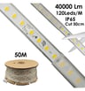 220V câble redr. 800lm 8W/m CRI90 IP65 - Image 7