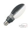 Lampe LED BRIDGELUX E27 36W 167Lm/W Haute Endurance - Image 1