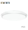 Plafonnier LED étanche IP65 12-20W CCT réglable - Image 16