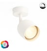 Applique LED LEIDEN Blanc 8W GU10 Dimmable TRIAC CRI98 - Image 1